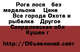 Рога лося , без медальона. › Цена ­ 15 000 - Все города Охота и рыбалка » Другое   . Свердловская обл.,Кушва г.